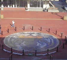 Missouri Tiger mural