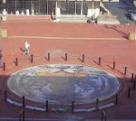 Missouri Tiger mosaic after SBS Sealer