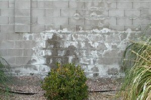 efflorescence vs. mineral deposits
